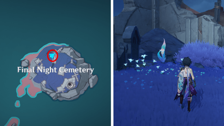 Genshin - Frostlamp Flower