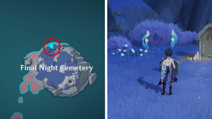 Genshin - Frostlamp Flower