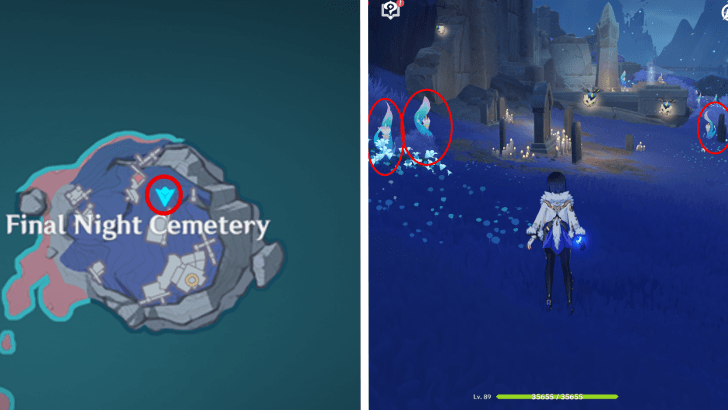 Genshin - Frostlamp Flower