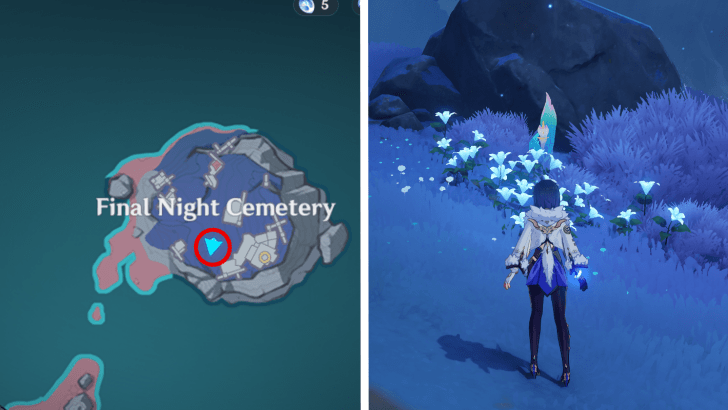 Genshin - Frostlamp Flower