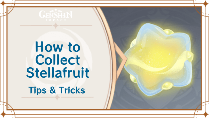 Genshin Impact - How to Collect Stellafruit