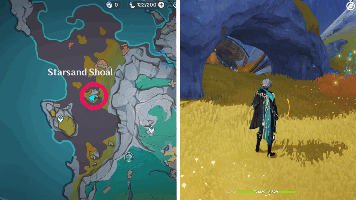 Conch-Patterned Notebook Location