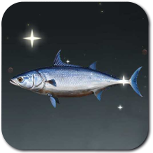 Laplace Slender Tuna