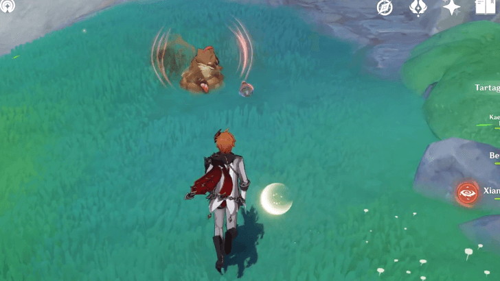 Genshin - Approach Sniffer Mole