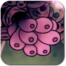 Voltvyrm - Hollow Knight Silksong