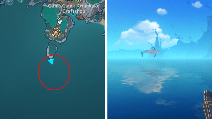Whale Locations