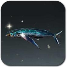 Icy Flying Fish