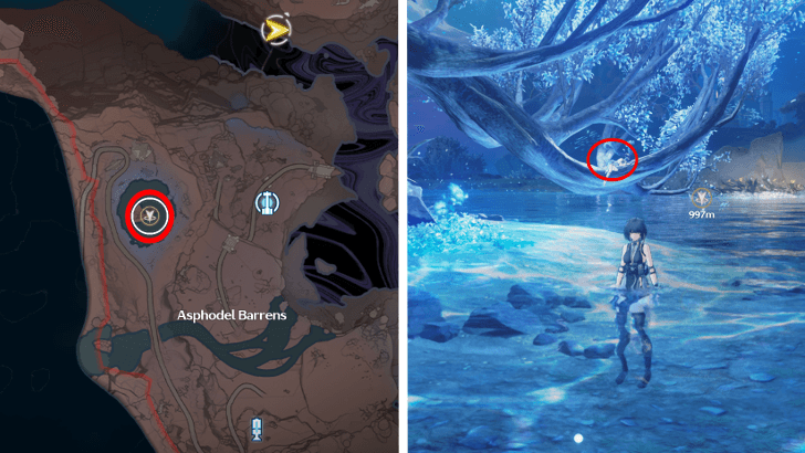 Admire the Moon With Iuno at Night