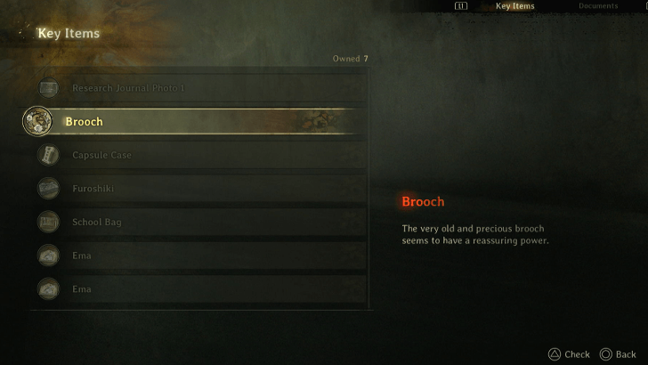 Specific Key Items Carry Over to New Game Plus
