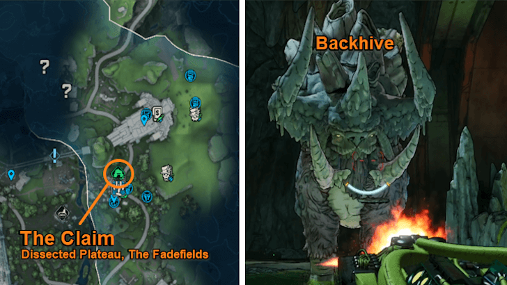 Backhive location