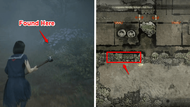 Chrysanthemum Bed Key