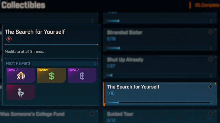 The Search for Yourself Challenge