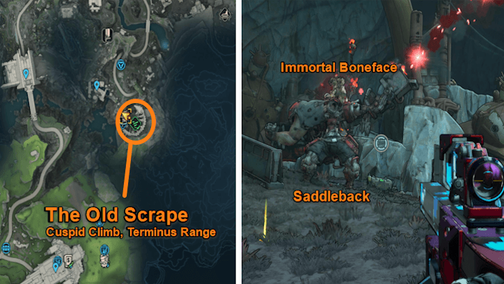 Saddleback and Immortal Boneface location