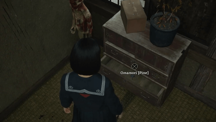 Silent Hill f - Can be Found Throughout the Game