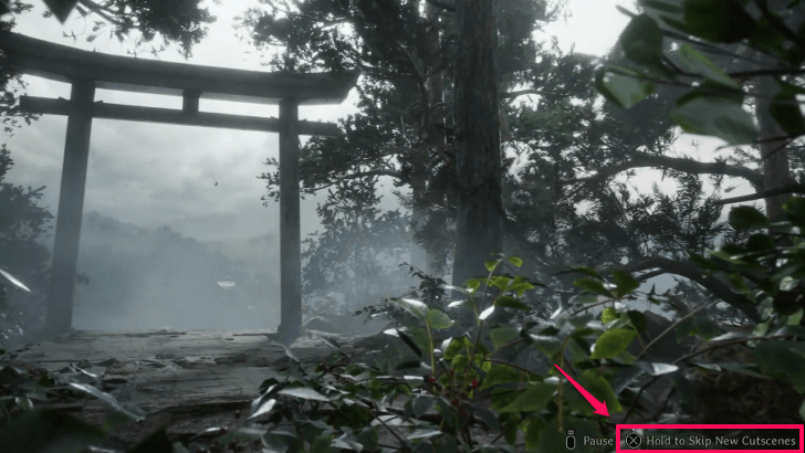 New Game Plus New Cutscenes