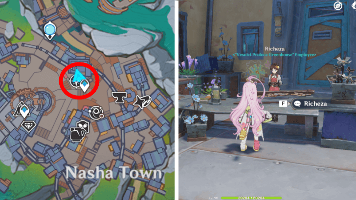 Genshin - Buy Frostlamp Flowers from Richeza