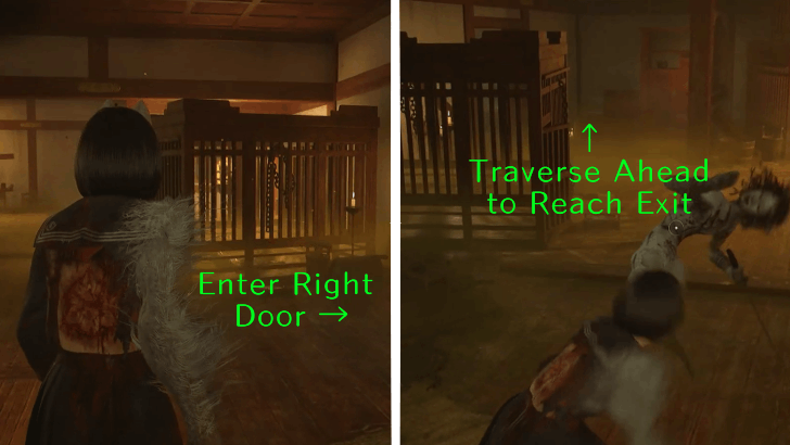 White Sparrow Step 2