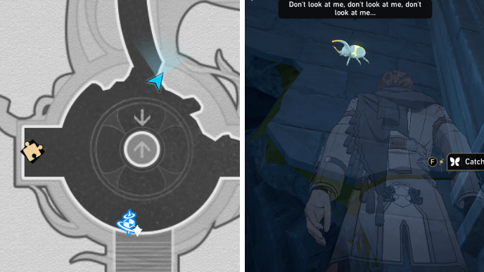 Honkai Star Rail - Radiant Scarwood Creation Nymph 18