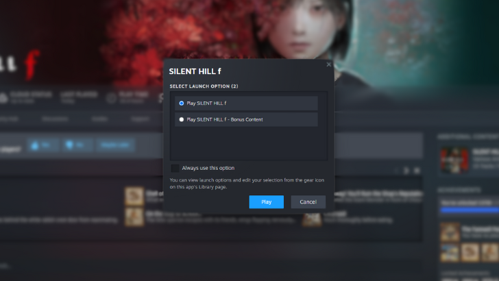 Steam Launch Option