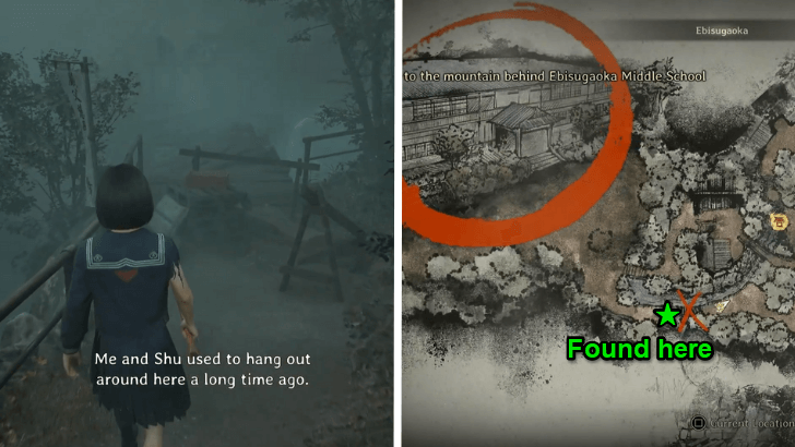 Broken Japanese Geta Sandal Location