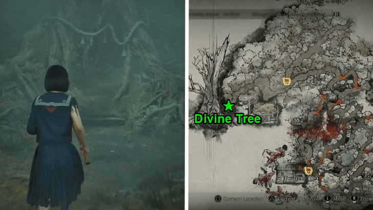 Divine Tree Location