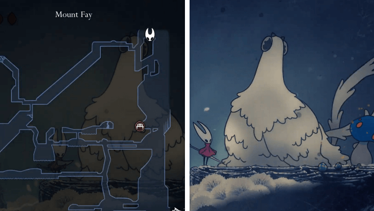 Mister Mushroom Mount Fay