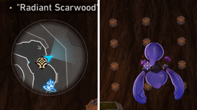 Chirping Secret Wisdom in Confinement - Wall of Shields Location