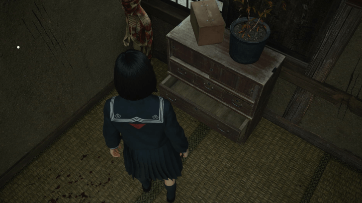 Silent Hill f - Overworld Image