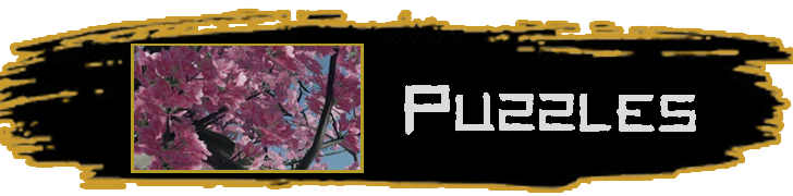 Puzzles Partial
