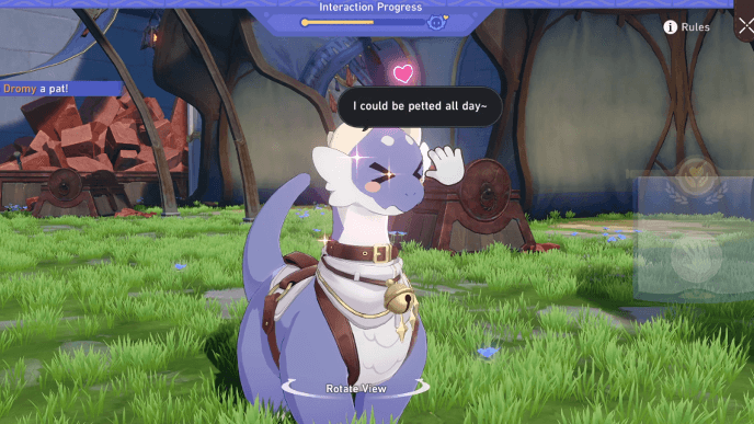 HSR Nice Weather for Dromases Event - Interaction Petting