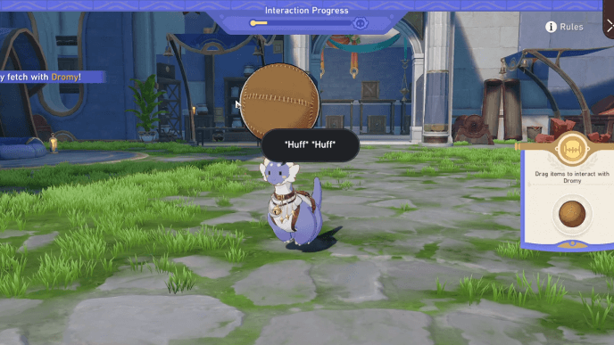 HSR Nice Weather for Dromases Event - Interaction Playing Fetch