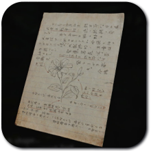 Silent Hill f - Research Notes on Hakkokusou