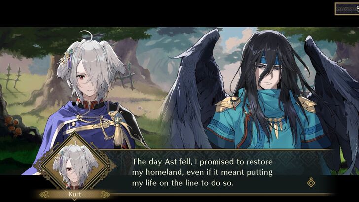 Fire Emblem Shadows Prince Kurt Promising Zasha