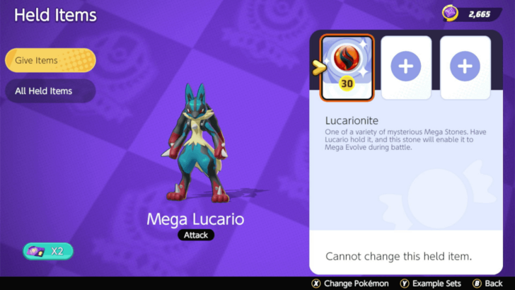 Mega Lucario Equipped with Lucarionite.png
