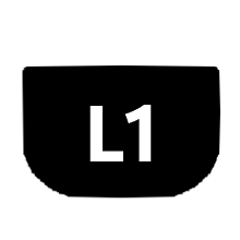 L1