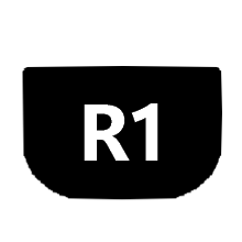 R1
