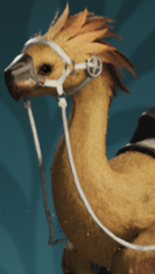 My Little Chocobo Outfit Appearance