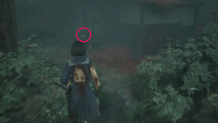 Clinical Trial #3 Location