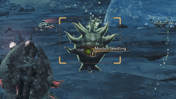 Morbol Seedling In-Game