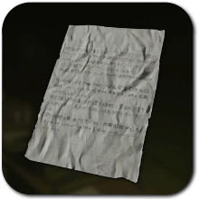 Silent Hill f - Diary of a Determined Boy