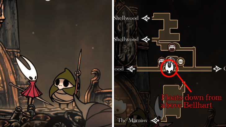 Pondcatcher Reed Location