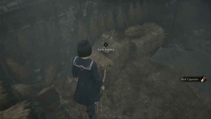 Silent Hill f - Overworld Image