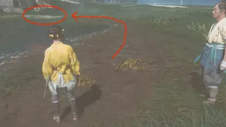 GOY - Find the Horses