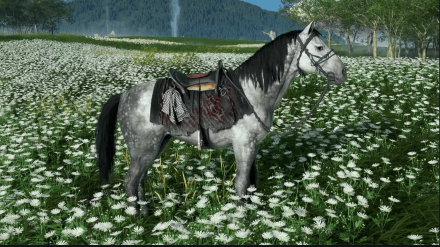 GOY - Mottled Horse