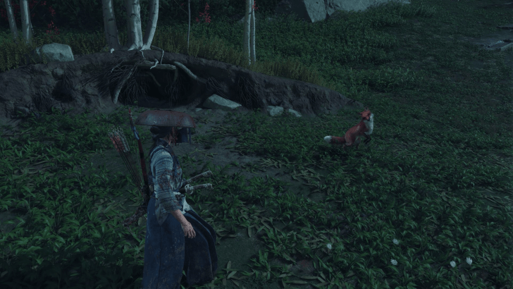 Flowing Water Fox Den