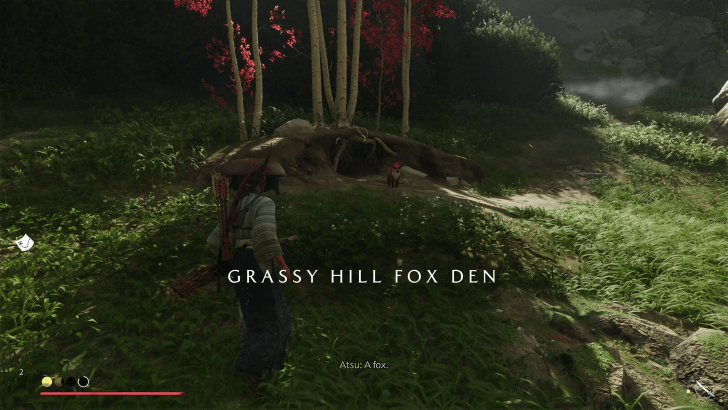 Grassy Hill Fox Den
