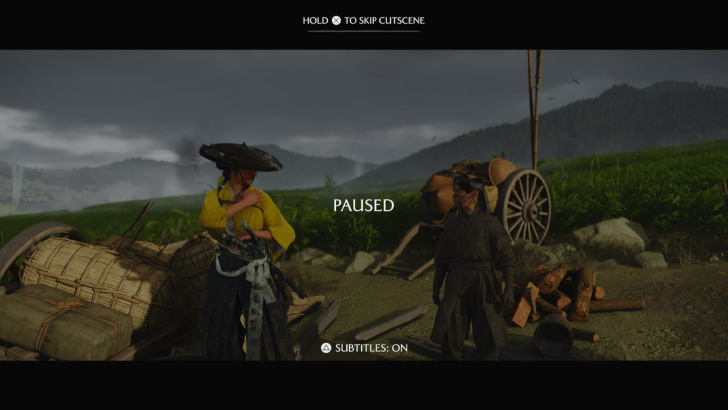 Skip Cutscene in NPC Interactions