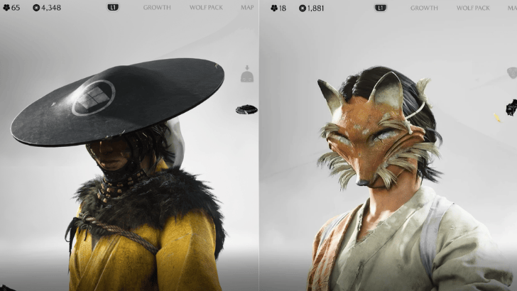 Mask and Hat Display