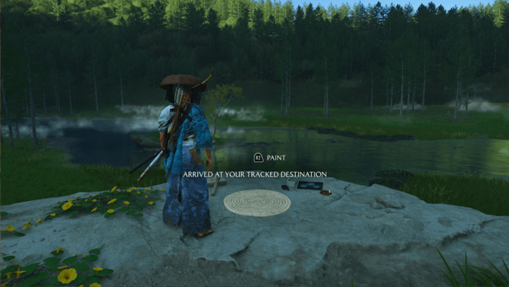 Chasing Frogs Sumi-e