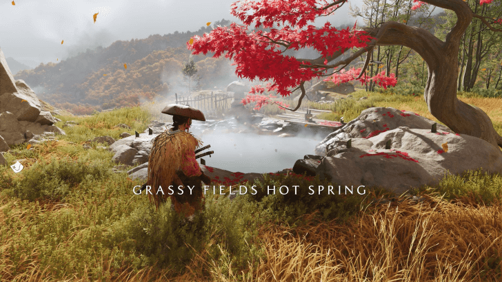 Grassy Fields Hot Spring